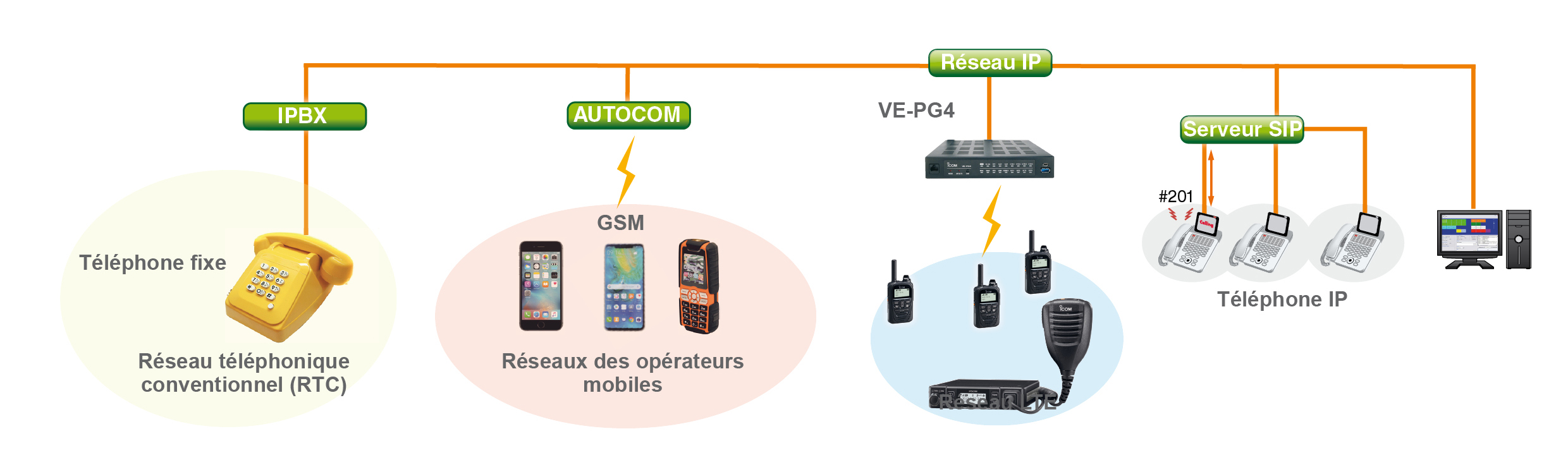 VE-PG4
